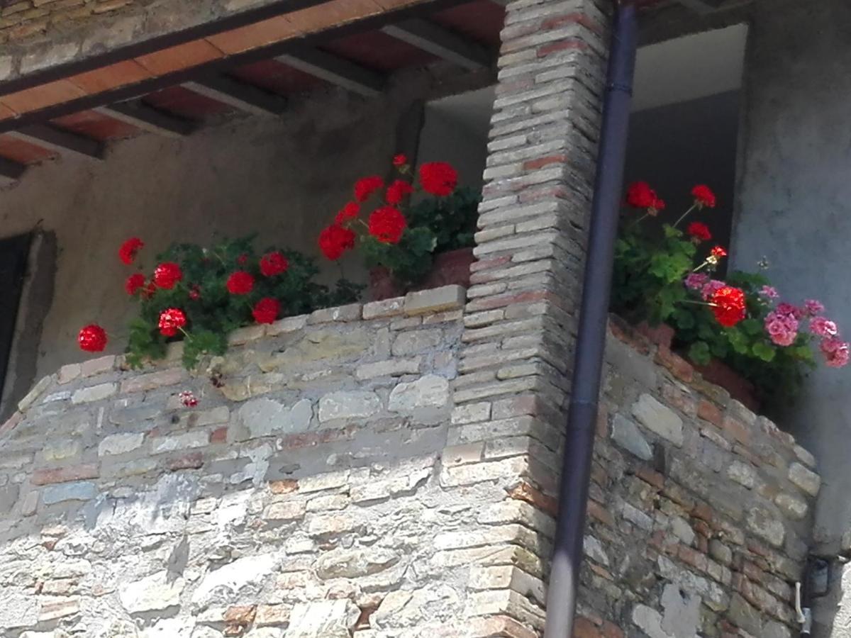 Fattoria Di Rigone Villa Coltavolino Buitenkant foto