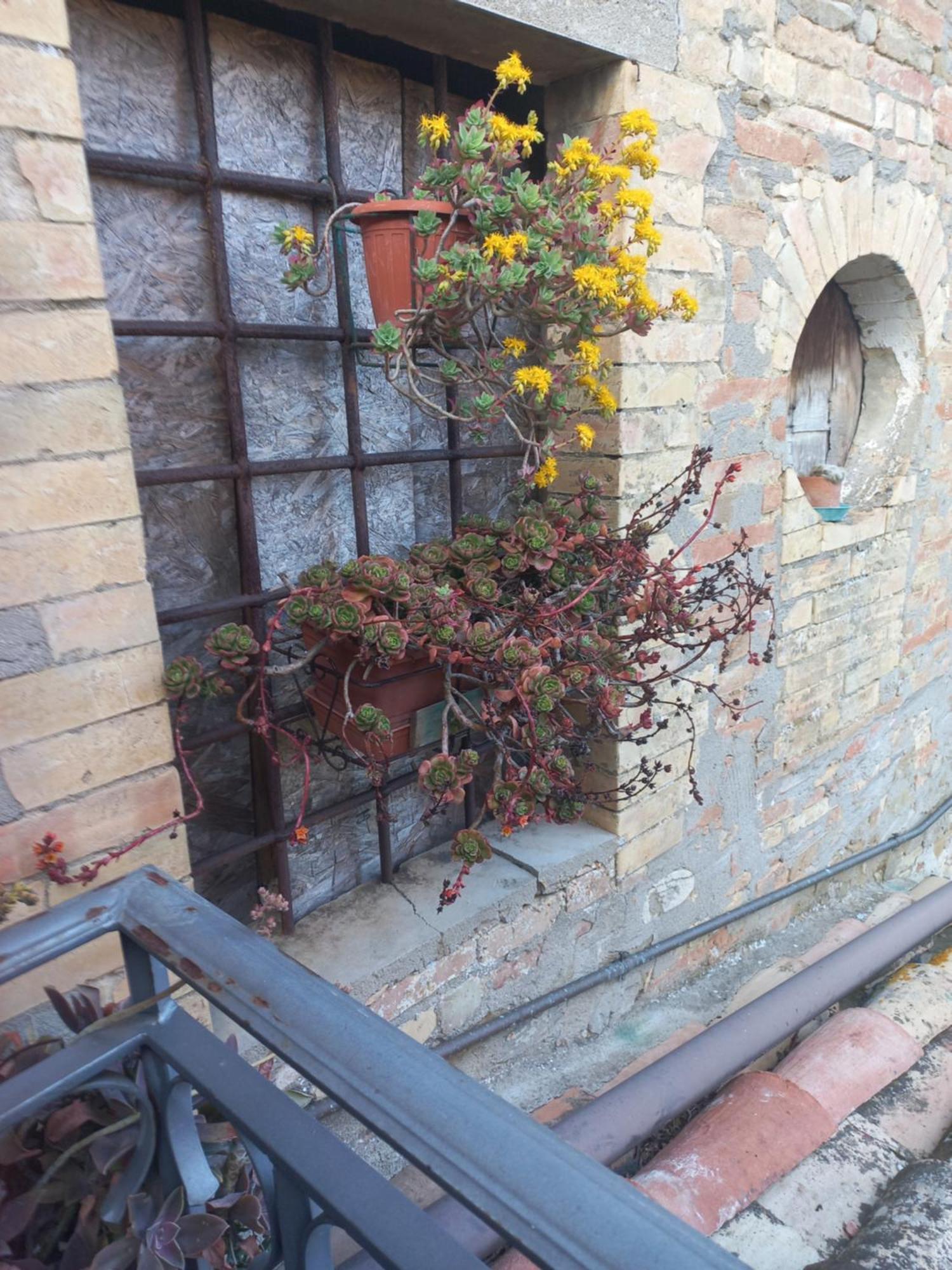 Fattoria Di Rigone Villa Coltavolino Buitenkant foto