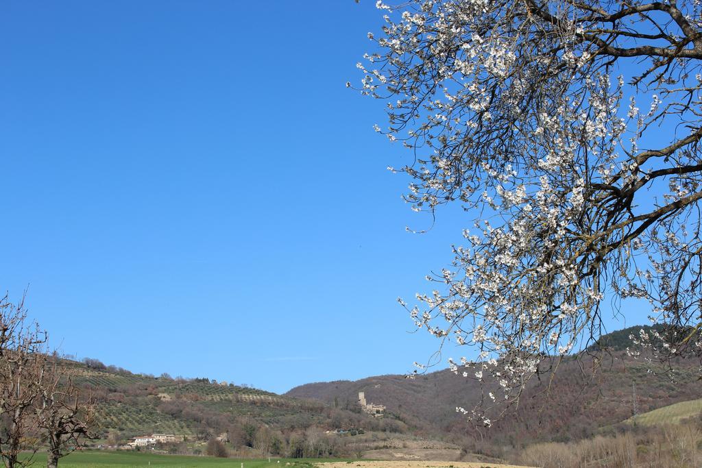 Fattoria Di Rigone Villa Coltavolino Buitenkant foto