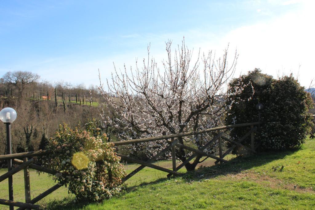 Fattoria Di Rigone Villa Coltavolino Buitenkant foto