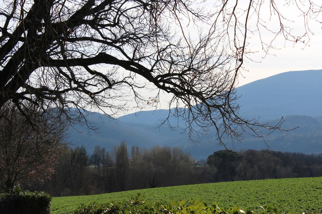 Fattoria Di Rigone Villa Coltavolino Buitenkant foto