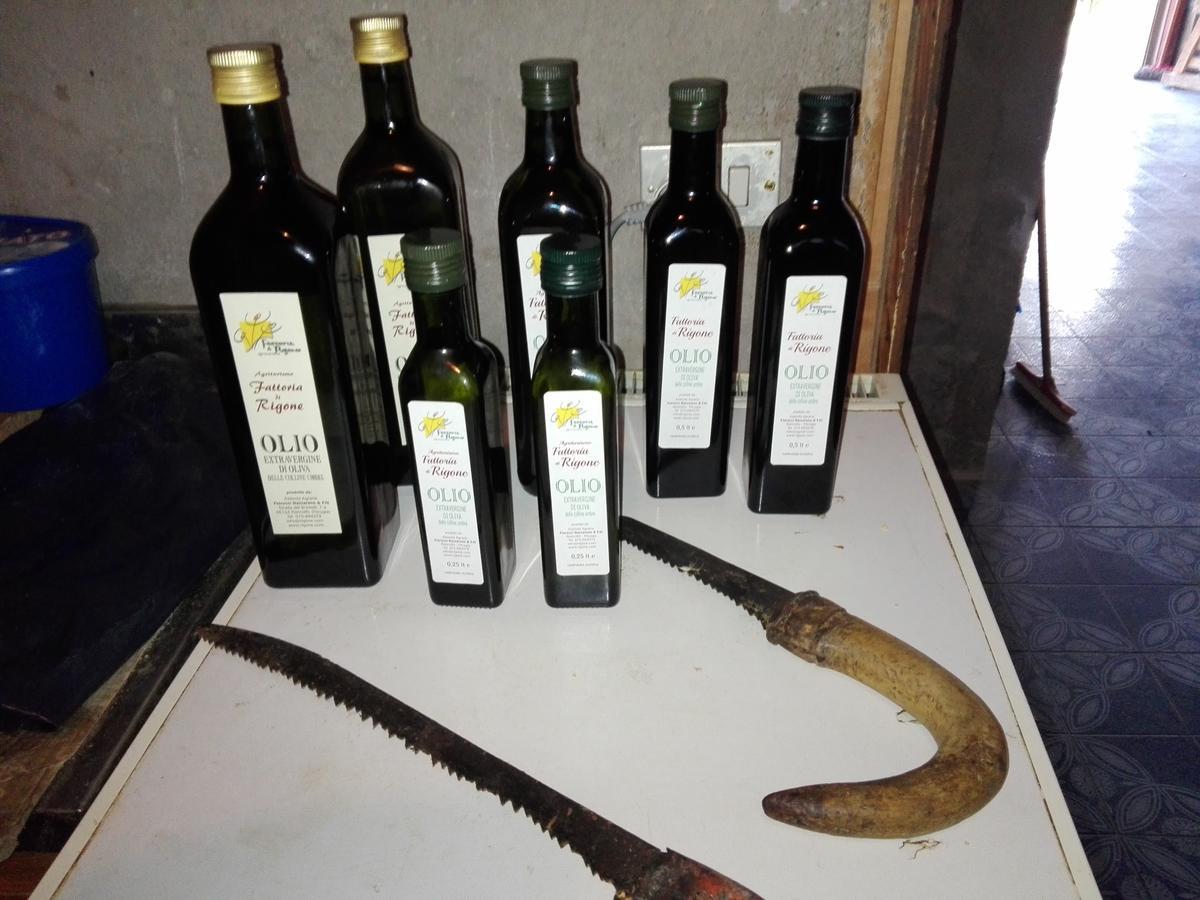 Fattoria Di Rigone Villa Coltavolino Buitenkant foto